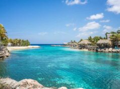 19 – 7 Healthy D.I.Y. Airplane Snacks